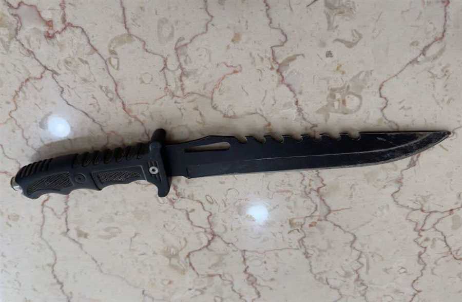 دستگیری ۲ قاچاقچی حرفه‌ای چوب در کمتر از ۲۴ ساعت